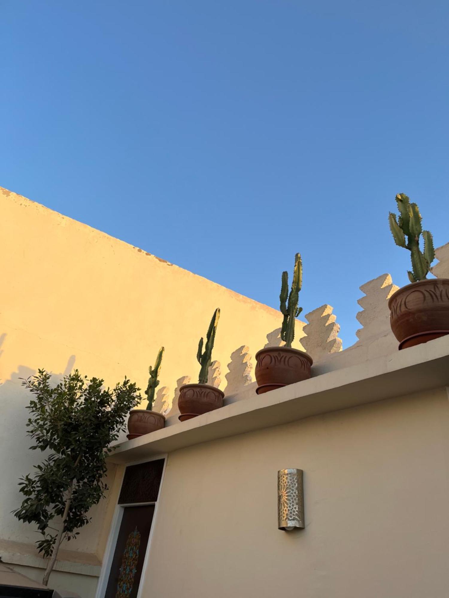 Riad Julilu Privatise Marrakesh Bagian luar foto